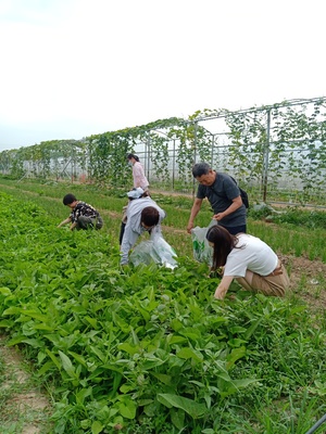 长垣市农产品质量安全追溯与监管平台