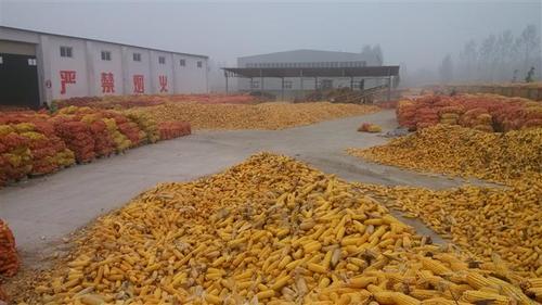 北京库存农产品